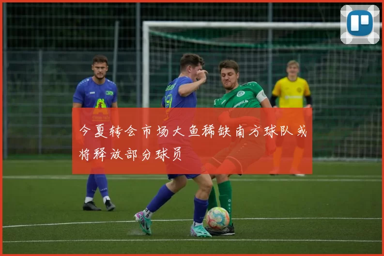 今夏转会市场大鱼稀缺南方球队或将释放部分球员